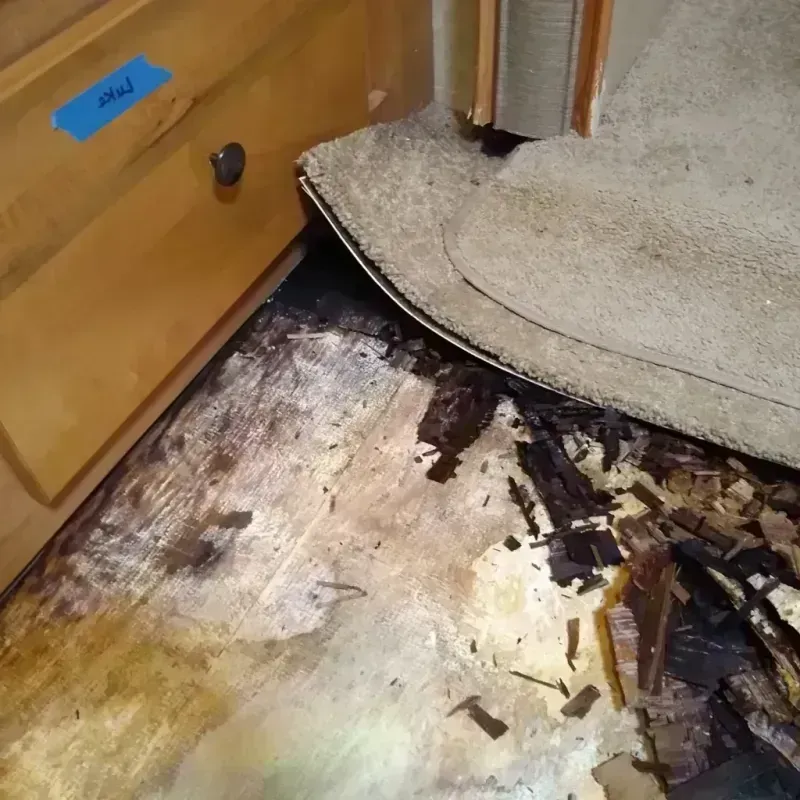 Wood Floor Water Damage in Nicollet, MN